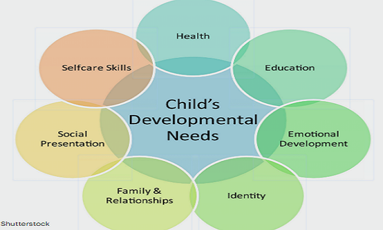 Holistic Development Chart